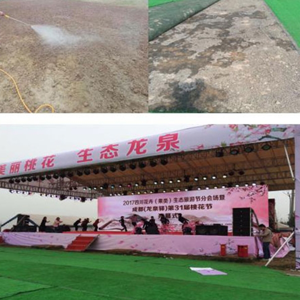 四川.成都——龙泉驿某观光场地草坪固化